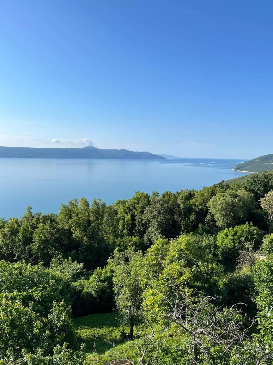 Blue & Mošćenička Draga