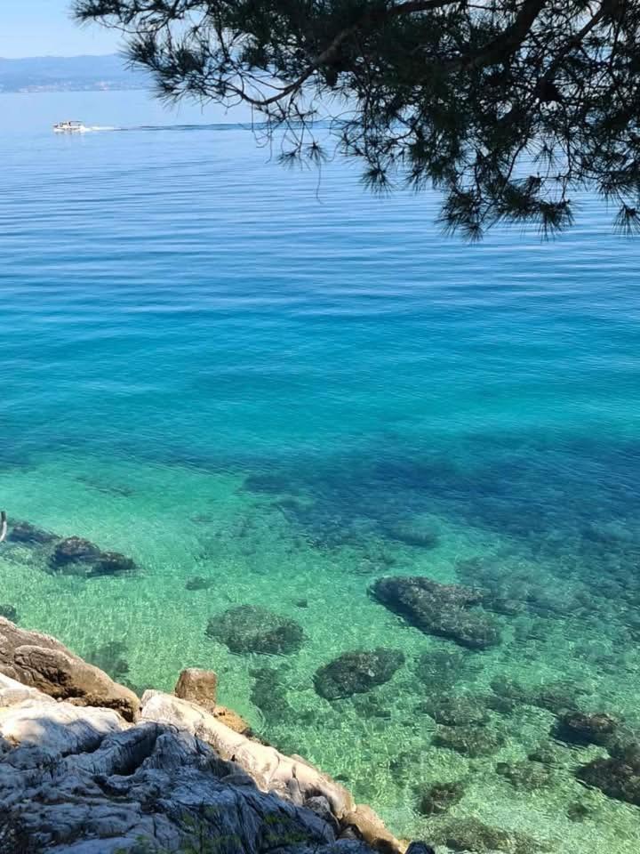 Blue &