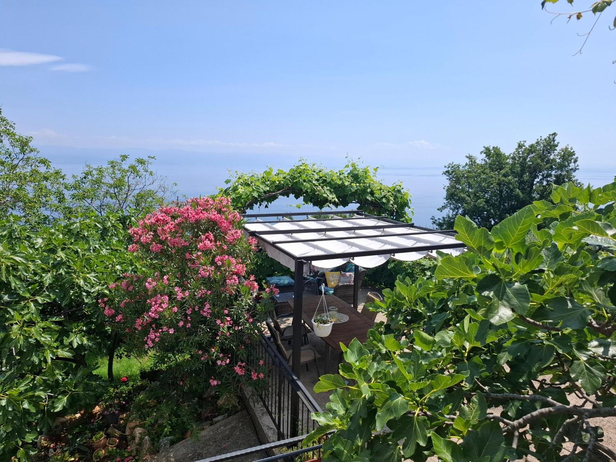 Appartement Blue & Mošćenička Draga