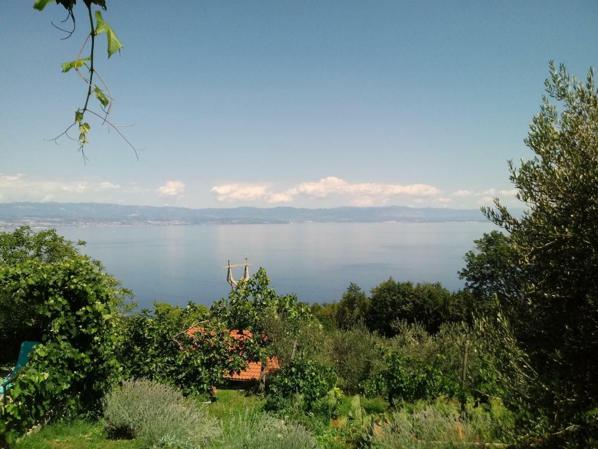 Blue & Mošćenička Draga