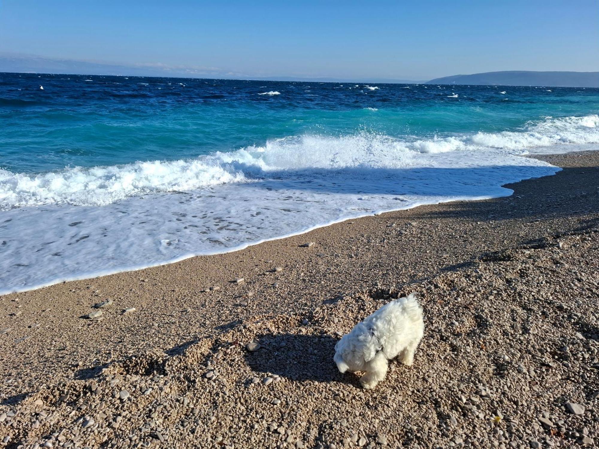 Blue & * Mošćenička Draga