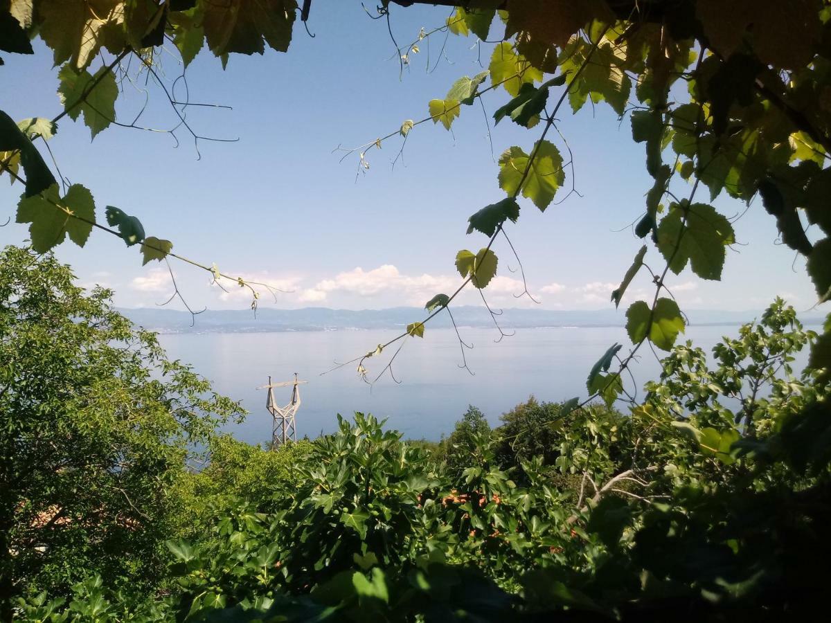 Blue & * Mošćenička Draga